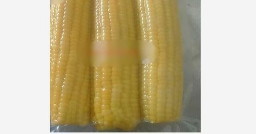 Vegetable Organic Frozen Sweet Corn