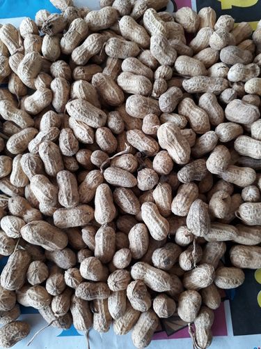 Brown Natural Organic Peanuts (1000Gm) 