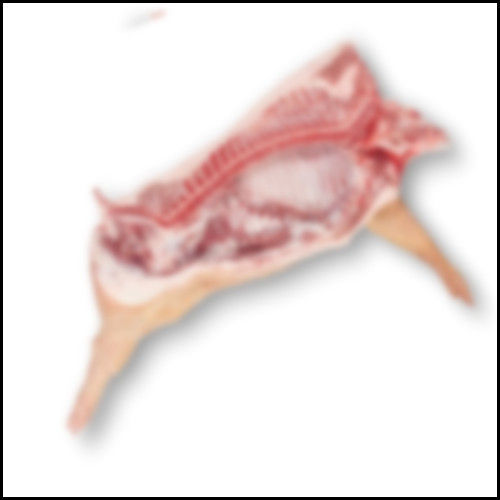 High Grade Frozen Pork