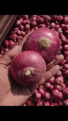 Natural and Fresh Red Onion