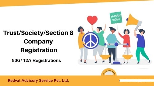 NGO Registration Services By Redvat Advisory Services