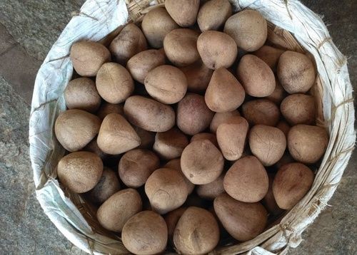 Natural Brown Dried Coconut