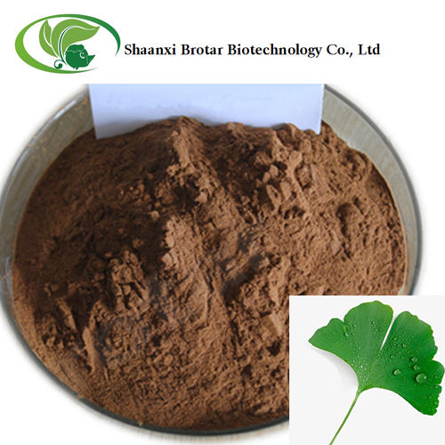 Natural Ginkgo Leaf Extract Powder