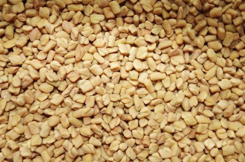 Organic Healthy And Natural Fenugreek Seeds