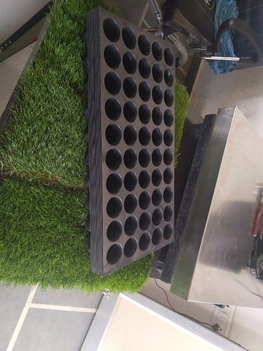 50 Cell Seedling Trays For Plant Grow