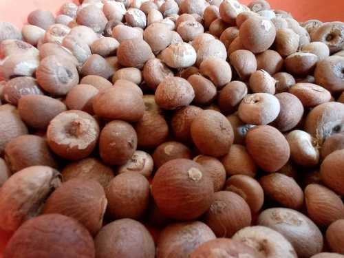 100% Pure Natural Areca Nut