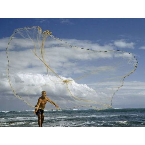 White Nylon Cast Fishing Nets Length: 17.6 Foot (ft) at Best Price in  Ghatsila