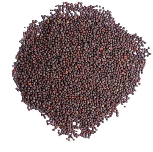 100% Black Mustard Seeds