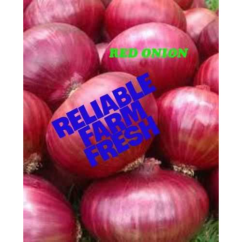 Fresh Round Red Onion