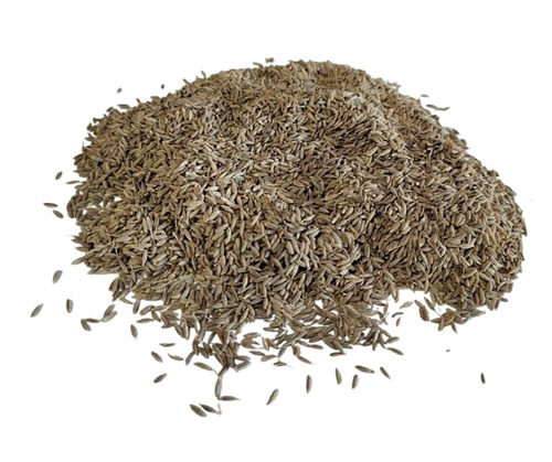 Organic Black Cumin Seeds - Natural Dried Whole, Brown Color | Good In Taste, Improves Digestion, 1-Year Shelf Life