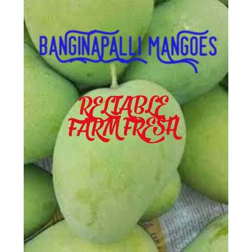 Tasty Fresh Banginapalli Mangoes
