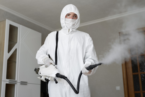 Disinfection and Sanitisation Service for Corona