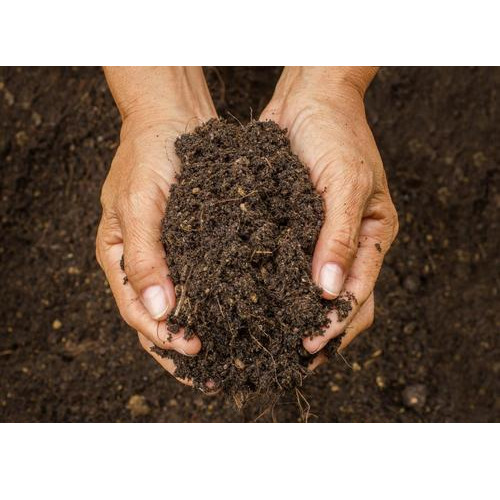 Vermicompost Fertilizer - 50 Kg Plastic Bag, GMO & Organic Cultivation, 99% Purity, Controlled Release, Granular, Moisture 0-20%