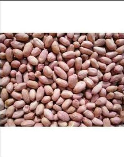 Protein Source Groundnut Seeds