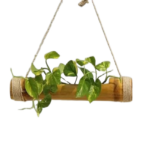 Hanging Bamboo Planter