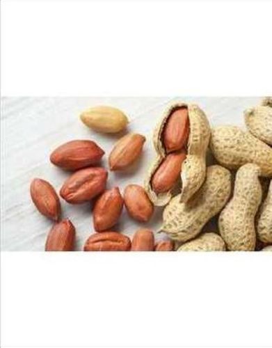 Raw Peanut - 25 Kg Vacuum Bag | Brown Color, Shelf Life 18 Months, Perfect for Snacks