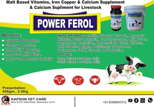 Power Ferrol Malt Based Iron And Vitamins Combinations at Best Price in  Saharanpur | Kapson Vet Care