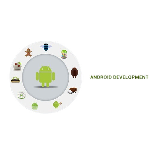 Android App Development Services By Crest Infosystems Pvt. Ltd.