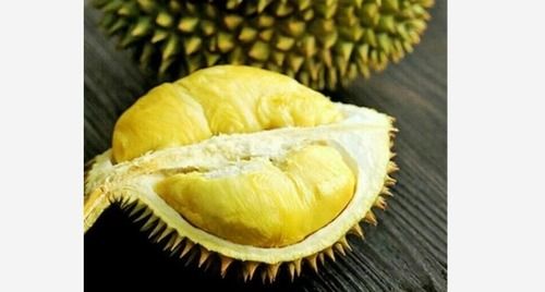 Frozen Durian Fruit (Sub-Tropical)
