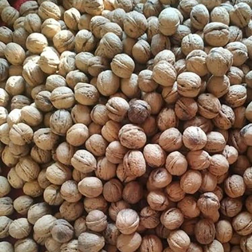 Pure Organic Kashmiri Walnuts