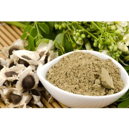 Natural Herbal Moringa Extract Powder