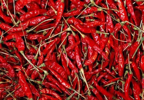 S 4/S 334 Dry Whole Sannam Red Chilli