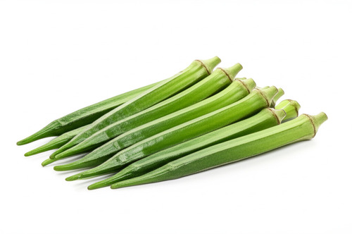 Fresh Organic Lady Finger - Packed in Plastic Bags | Green Food Grade Quality for Cooking Natural Taste and Non Harmful