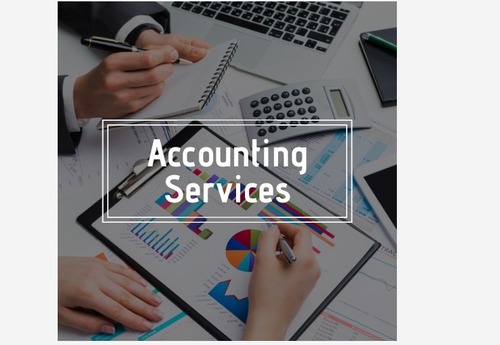 Chartered Accountant Service Online By BERIWALI TRADERS