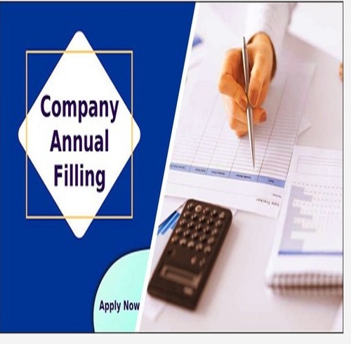 Company Annual Filing Services By BERIWALI TRADERS