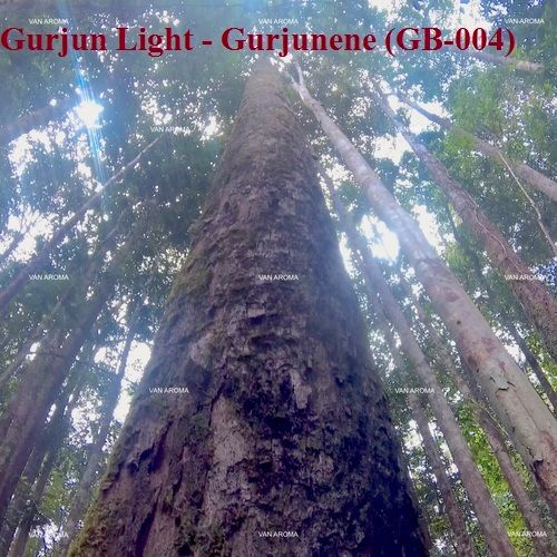 Gurjun Light - Gurjunene (GB-004)