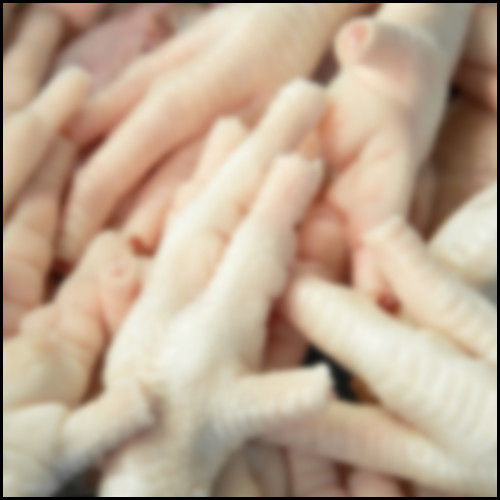 Without Yellow Skin Top Quality Frozen Chicken Feet