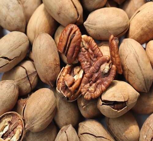 Organic Chemical Free High Grade Pecan Nuts