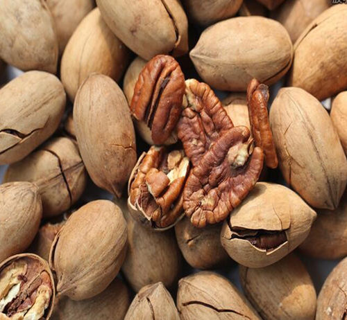 Organic Chemical Free High Grade Pecan Nuts Origin: South Africa