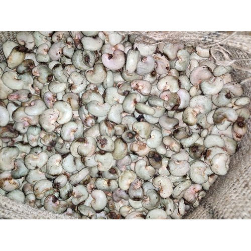 Organic Loose Raw White Kaju Cashew Nuts