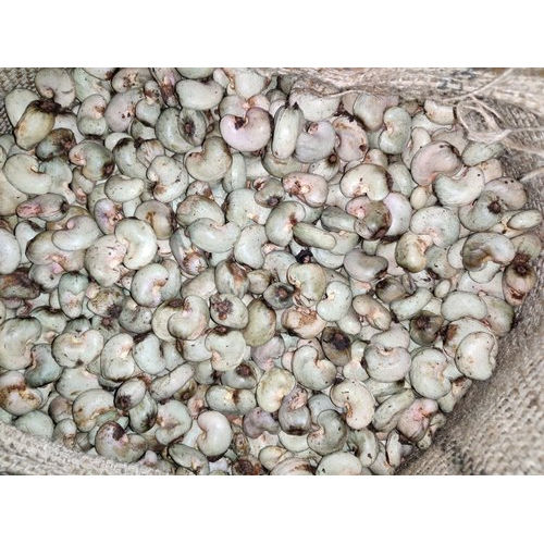 Organic Loose Raw White Kaju Cashew Nuts Origin: India