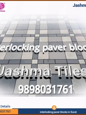Various Fancy Designer Interlocking Paver Block