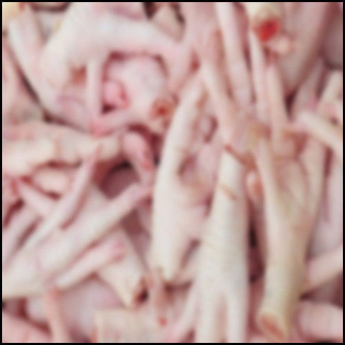 Hygienically Processed Chicken Feets Grade: A