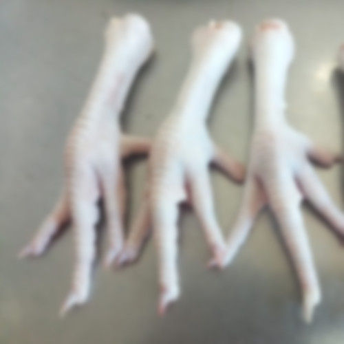 Nutritious Poultry Chicken Feets