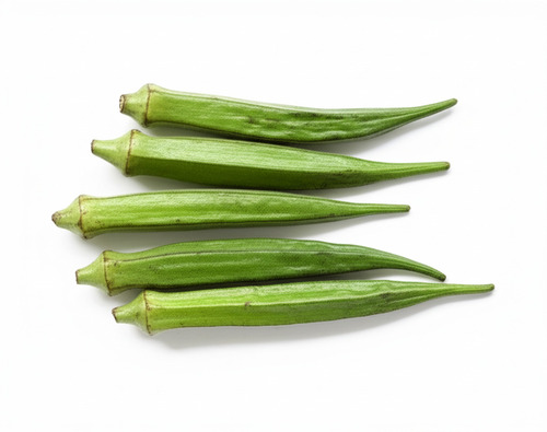 Delicious Easy To Digest Natural Healthy Green Fresh Lady Finger