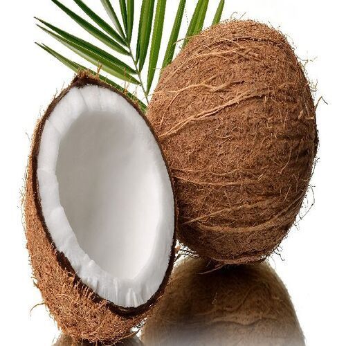100% Fresh Semi Husked Coconuts