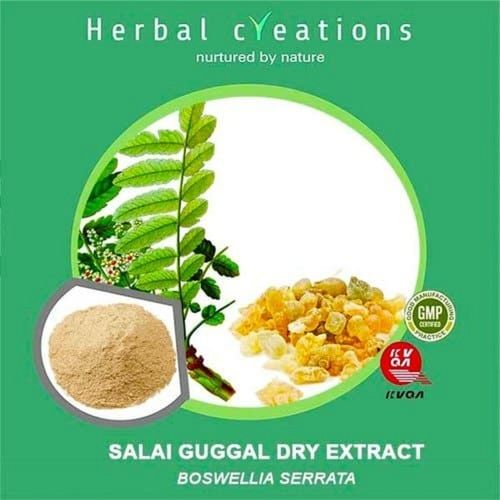 Boswellia Serrata Salai Guggul Dried Extract Grade: Medicinal