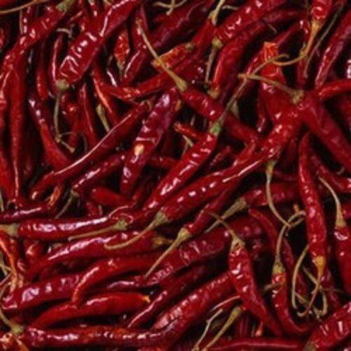 Hot Taste Hygienic Packing Rich In Color Healthy Pure Natural Organic Dry Red Chilli