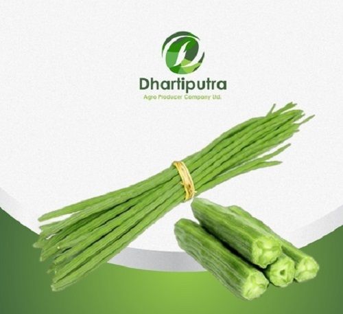 Natural Fresh Green Drumstick Vegetables