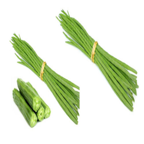 Organic Green Drumsticks - Food Grade, Common Cultivation, ISO-9001:2008 Certified | Natural Taste, Non Harmful, Perfect for Cooking and Human Consumption