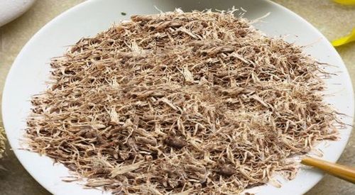 Dried Organic Punarnava Boerhavia Diffusa Satodi Herb Age Group: For Adults