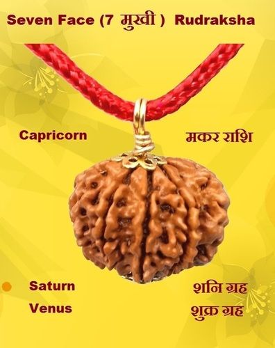 Handcrafted Seven Face Rudraksha Mala