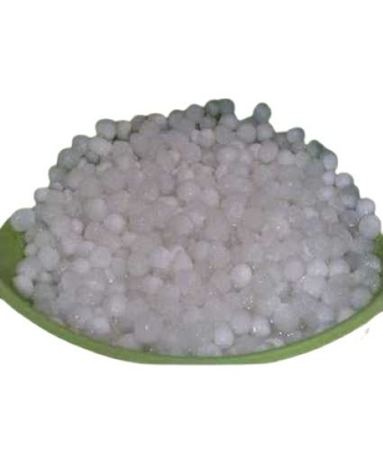 White Natural Sago Sabudana Purity: 100%