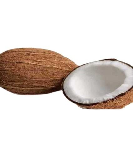  मध्यम आकार 350 ग्राम से 450 ग्राम प्राकृतिक ताजा नारियल