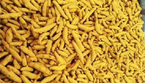 Yellow A Grade 100% Pure Natural And Organic Solid Turmeric Fingers