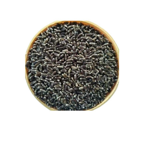 Black Wheat